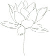 经典泰式按摩